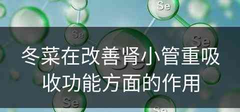 冬菜在改善肾小管重吸收功能方面的作用